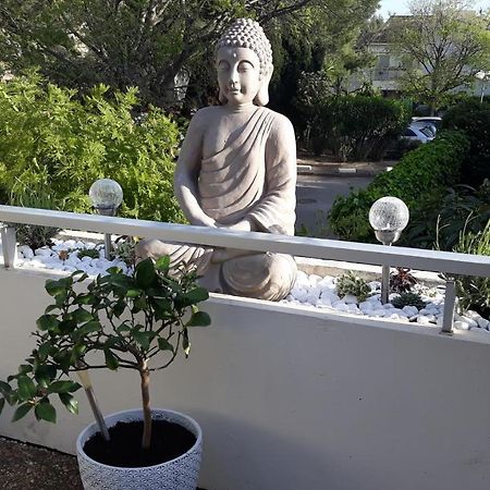 2 Pieces Avec Grande Terrasse Lejlighed La Ciotat Eksteriør billede
